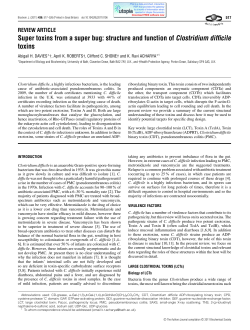 Super toxins from a super bug: structure and function of Clostridium