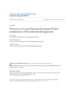 Discovery of a novel function for human Rad51