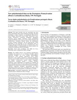 New paleobotanical data on the Portuguese Pennsylvanian