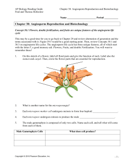 Chapter 38: Angiosperm Reproduction and Biotechnology