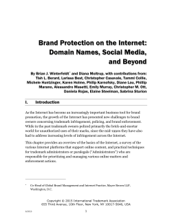 Brand Protection on the Internet: Domain Names, Social Media, and