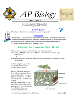 Lab 6 API Photosynthesis