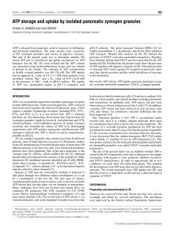ATP storage and uptake by isolated pancreatic zymogen granules