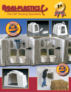 Deluxe EXL Calf Hutch