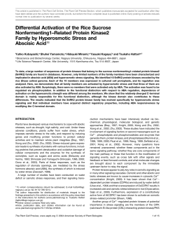Differential Activation of the Rice Sucrose