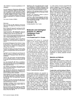 Molecular and Cytologlcal Analysis of a Mariner Transposon From