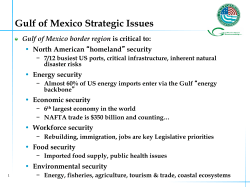 Gulf of Mexico Strategic Issues