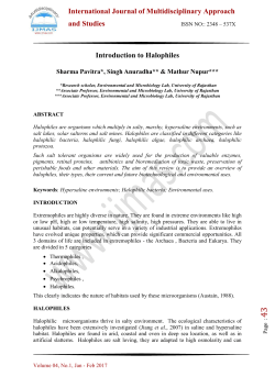 Read full Length Paper...... - International Journal of Multidisciplinary