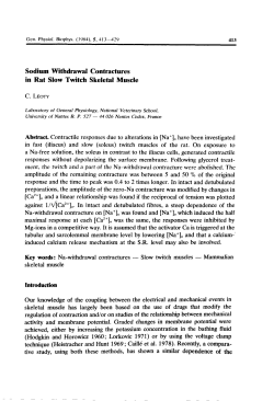 Sodium Withdrawal Contractures in Rat Slow Twitch Skeletal Muscle