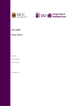 Irish TIMES Power Sector