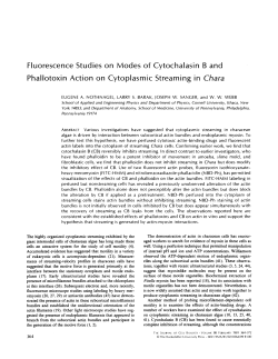 Fluorescence Studies on Modes of Cytochalasin B and Phallotoxin