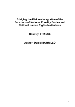 the France Executive Summary