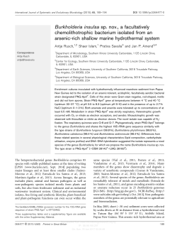 Burkholderia insulsa sp. nov., a facultatively chemolithotrophic