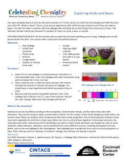 Exploring Acids and Bases