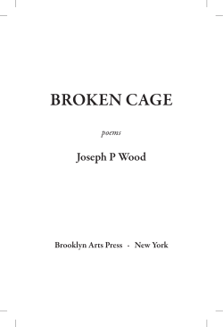 broken cage - Brooklyn Arts Press