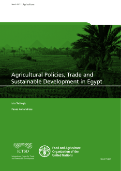 Agricultural Policies, Trade and Sustainable Development in Egypt