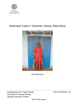 Bushmeat Trade in Techiman, Ghana, West Africa