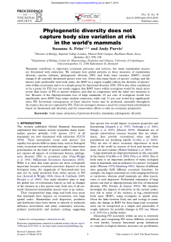 Phylogenetic diversity does not capture body size variation at risk in