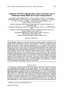 Comparative 16s rRNA Oligonucleotide Analyses
