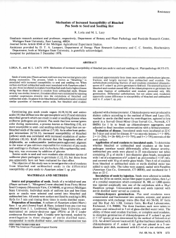 Mechanism of Increased Susceptibility of Bleached Pea Seeds to