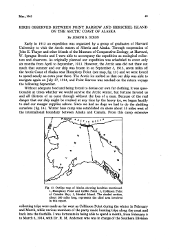 Birds Observed between Point Barrow and Herschel Island on the