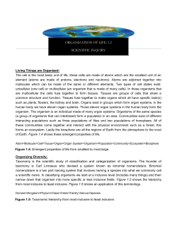 organization of life: 1.2 scientific inquiry