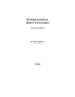 INTERNATIONAL JOINT VENTURES