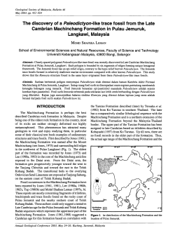 The discovery of a Paleodictyon-like trace fossil from the Late
