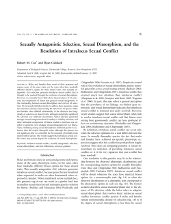 Sexually Antagonistic Selection, Sexual Dimorphism, and the