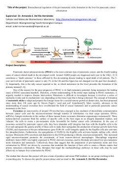 Supervisor: Dr. Armando E. Del R&iacute;o Hern&aacute;ndez Cellular and