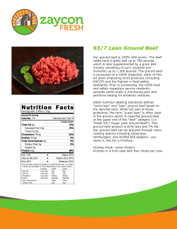 93/7 Lean Ground Beef
