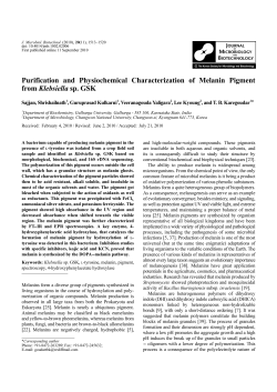 Purification and Physiochemical Characterization of Melanin