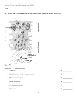 Chapter 27 Exam Due NLT Thursday, July 31, 2015