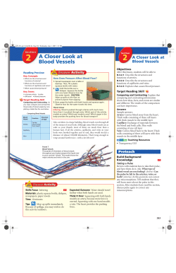 2 A Closer Look at Blood Vessels