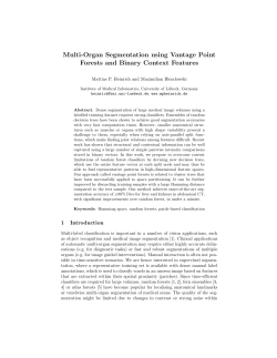 Multi-Organ Segmentation using Vantage Point Forests and Binary