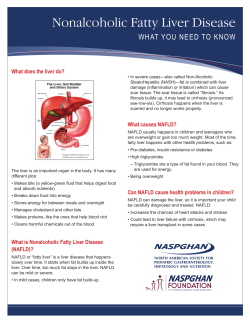 fatty liver fact sheet