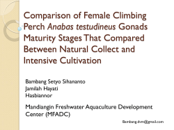 Gonad Length