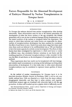 Factors Responsible for the Abnormal Development of Embryos