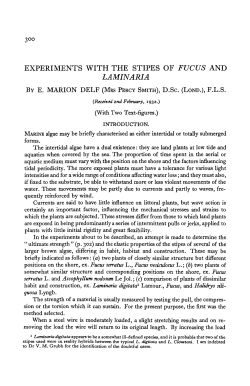 3&deg;&deg; experiments with the stipes of fucus and laminaria