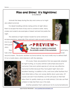 answer key - Super Teacher Worksheets