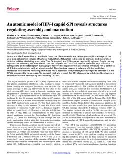 An atomic model of HIV-1 capsid-SP1 reveals structures regulating