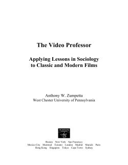 The Video Professor