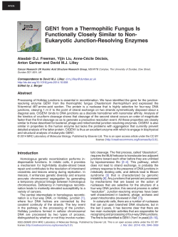 GEN1 from a Thermophilic Fungus Is Functionally Closely Similar to