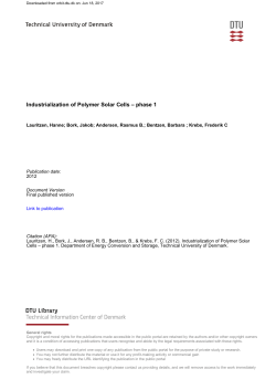 Industrialization of Polymer Solar Cells &ndash; phase 1