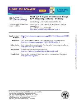 RNA Processing and Isotype Switching Shark IgW C Region
