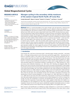 Nitrogen cycling in the secondary nitrite maximum of the eastern