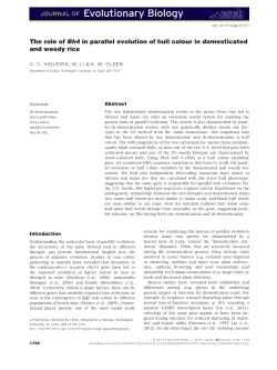 The role of Bh4 in parallel evolution of hull colour in domesticated