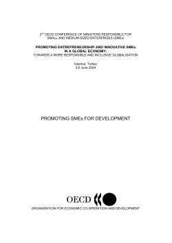 PROMOTING SMEs FOR DEVELOPMENT