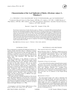 Characterization of the Leaf Epidermis of Barley (Hordeum vulgare L