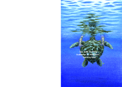 Sea Turtle Handling Guidebook for Fishermen Teaching